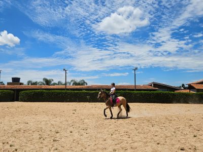 Oportunidade Única: Haras de Luxo com Hotel e Spa em Atibaia